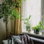 Tips for Creating a Cozy and Inviting Home Environment